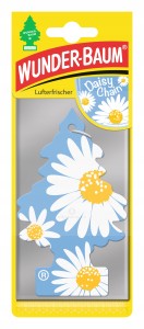WUNDER BAUM Choinka zapachowa - DAISY CHAIN