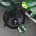 ERLA RITHA PURE AIR - Patyczki zapachowe ZIELONA JABŁKO 100ml